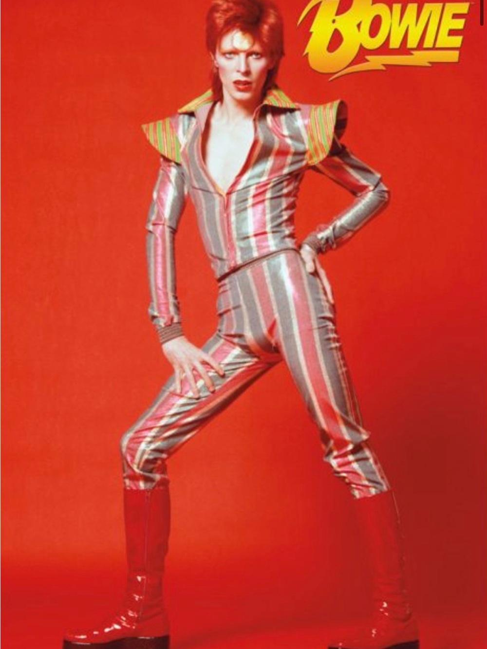 David Bowie Poster Aprox Size 24x36 Inches
